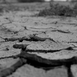 冬の乾燥は肌荒れの原因に！冬の肌トラブルを防ぐ方法5選！